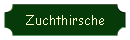 Zuchthirsche