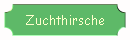 Zuchthirsche