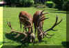 100_0786.JPG (169286 Byte)