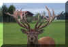 100_1045.JPG (49323 Byte)