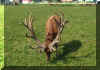 100_0961.JPG (110970 Byte)