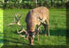 100_1081.JPG (226512 Byte)